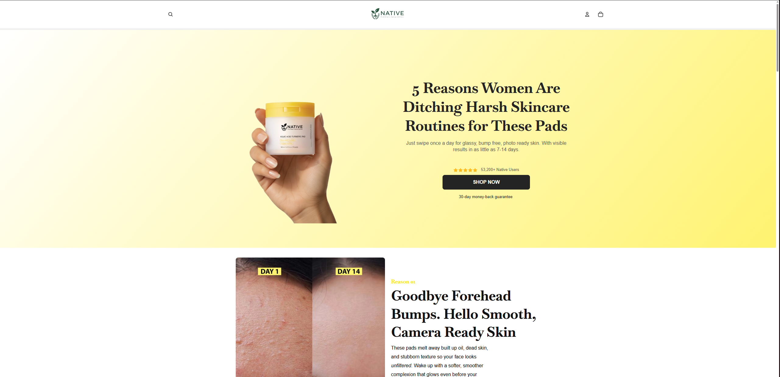 Try Native - business website